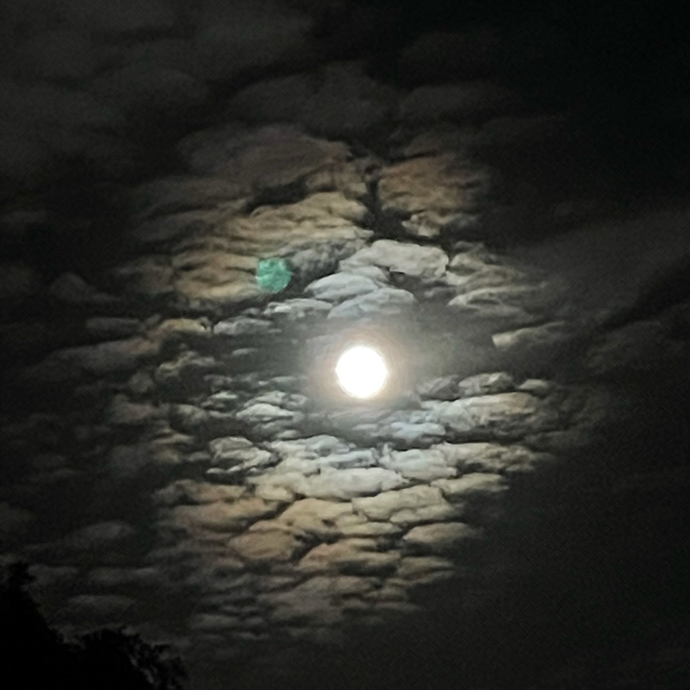 Meet your Posher, Anabel